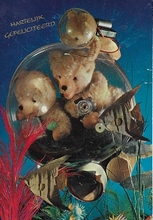 Postcard - Bär  15 x 10,5 cm