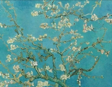 Amandelbloesem van Vincent van Gogh