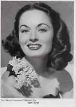 Ann Blyth  13,5 x 9,5 cm