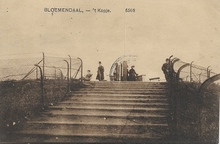 Postcard- Bloemendaal - Ruïne van Brederode