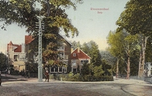 Postcard- Bloemendaal - Ruïne van Brederode