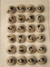 Kart -   Beige  22 mm