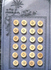 24 Knopfe  10 mm