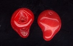 Glasknoop - rood - Druppelvorm  15 x 11 mm