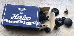 12 Knopen - Bachelor Buttons