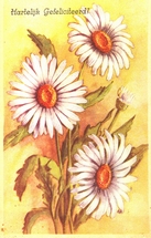 Bloemen  14 x 9 cm