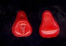 Glasknoop - rood - zadelvorm  15 x 13 mm