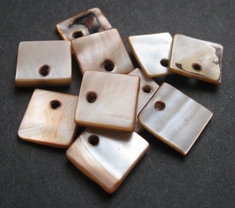 10 stuks Shellz  12 x 12 mm