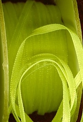 Lint - felgeel  4 mm