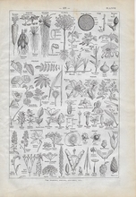 Orgineel blad uit Larouse - Art Chinois 28 x 18 cm