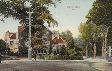 Postcard- Bloemendaal - Ruïne van Brederode 