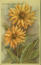 Bloemen 14 x 9 cm