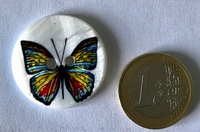 Parelmoerknoop - vlinder 28 mm